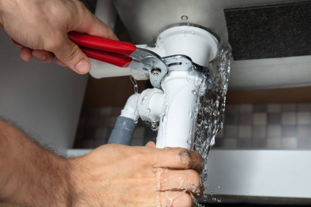 Best Flood damage cleanup  in Belle Meade, TN