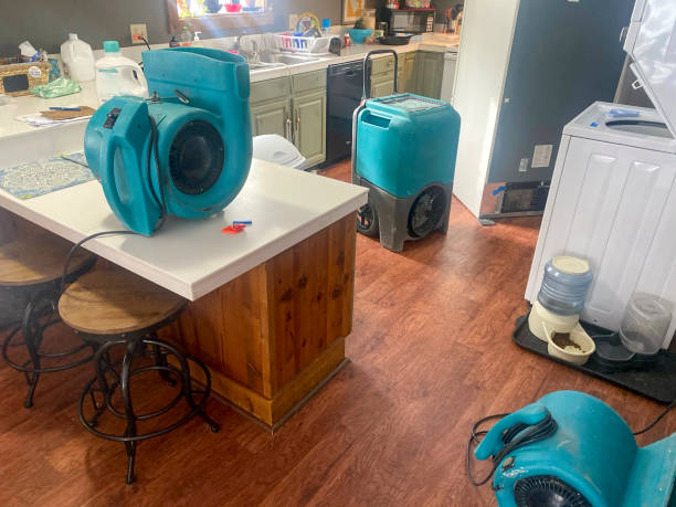 Best Sewage cleanup and water damage restoration  in Belle Meade, TN