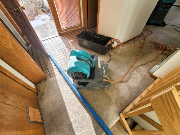 Best Commercial water damage restoration  in Belle Meade, TN