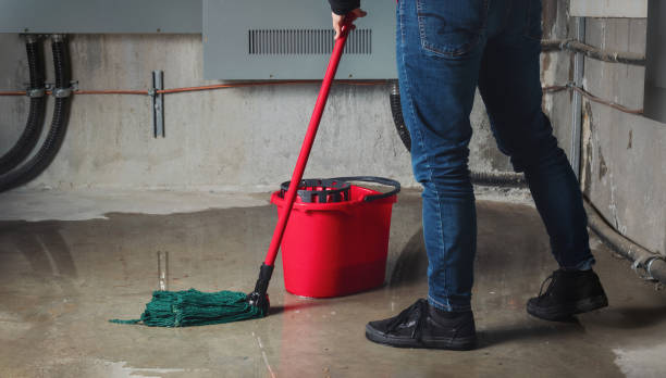 Best Residential water damage restoration  in Belle Meade, TN