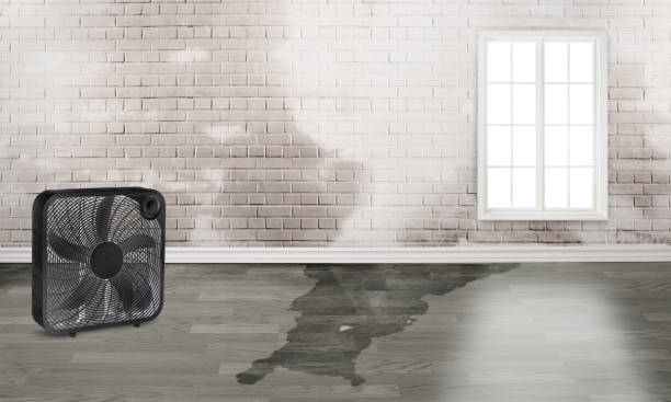 Water damage restoration mold remediation in Belle Meade, TN