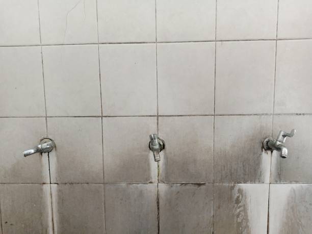 Water damage restoration experts in Belle Meade, TN