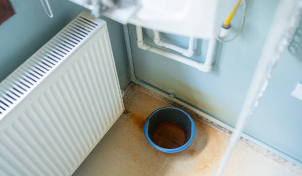 Best Flood damage cleanup  in Belle Meade, TN