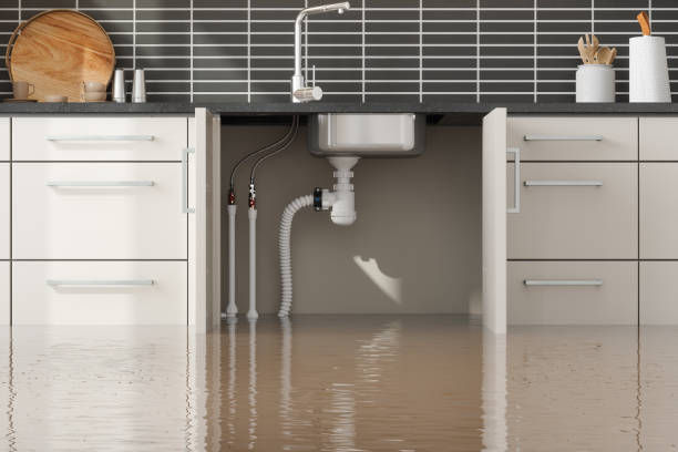 Best 24/7 water damage repair  in Belle Meade, TN
