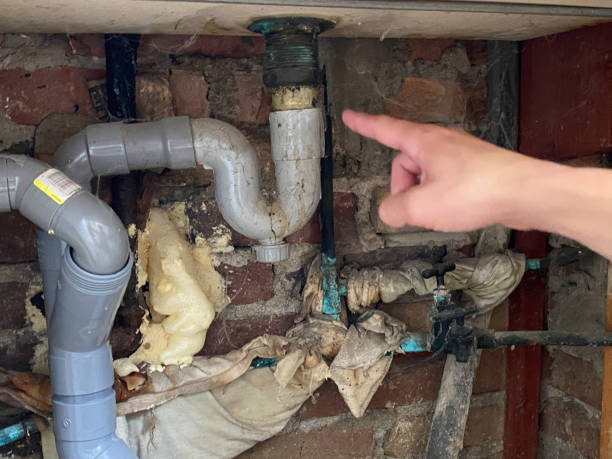 Best Flood restoration services  in Belle Meade, TN
