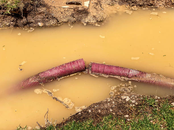 Best Water damage restoration insurance claims  in Belle Meade, TN