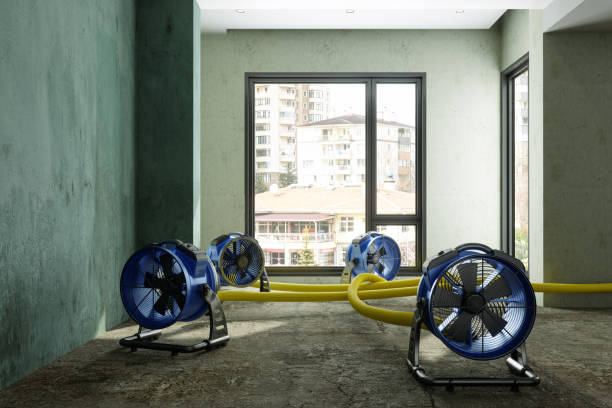 Best Water damage cleanup near me  in Belle Meade, TN